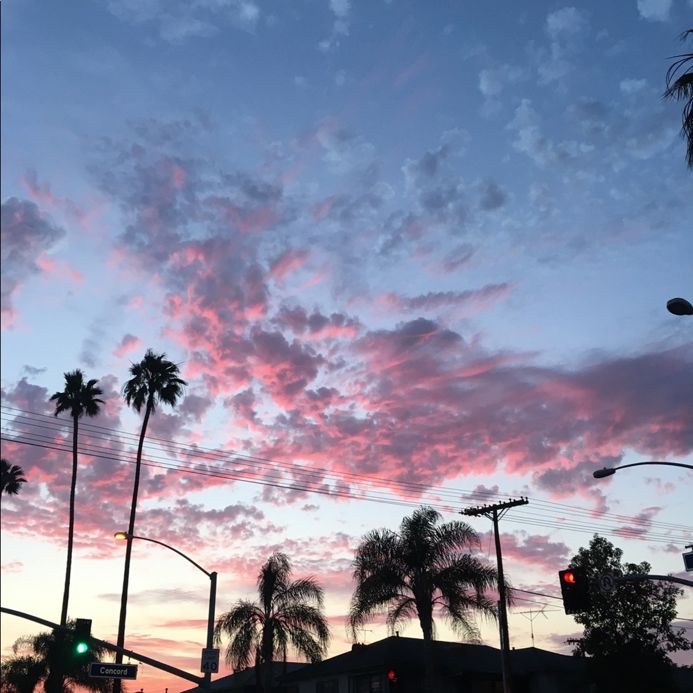 Meet your Posher, Arpine